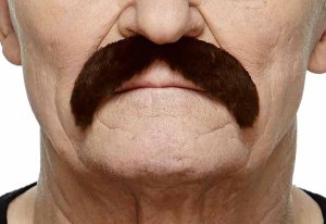 Full Moustache | Dark Brown