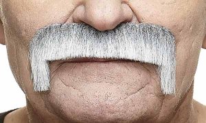 Small Horseshoe Moustache | White and Grey