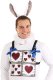 Disney White Rabbit Adult Costume Kit