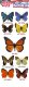 Utopia 3D Butterfly Stickers | Monarch