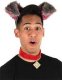 Disneys Tramp Ears and Collar