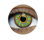Primal Contact Lenses | Burning Man