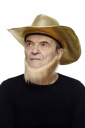 Jawline Beard Blonde