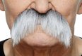 Bushy Walrus Moustache | White and Grey