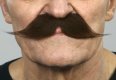 English Moustache | Dark Brown