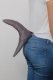 Shark Tail