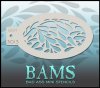 BAM3013