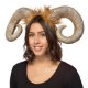 Superlite Ram Horns