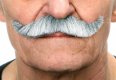 Gentlemen Moustache | Grey and White