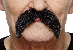 Bushy Walrus Moustache | Black and Grey