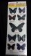 Utopia 3D Butterfly Stickers | Australasian Papua New Guinea