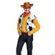 Disney Toy Story Deluxe Woody Kit