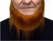 Jawline Beard long Ginger strawberry