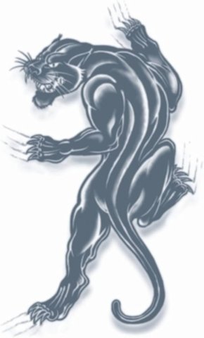 Tattoo FX | Prison Panther
