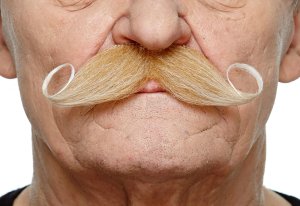 Curled Dapper Moustache | Blonde and White