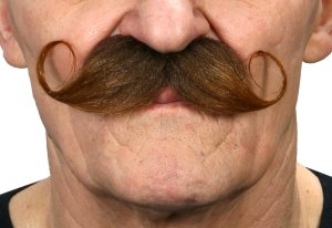 Curled Dapper Moustache | Medium Brown