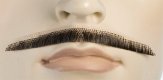 Errol Flynn Mustache Black and Grey