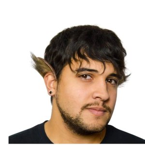 Werewolf Flexi Ears with Fur | Grey