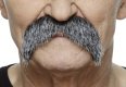 Bushy Walrus Moustache | Grey