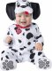 Dalmatian | Infant Medium