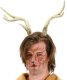 Deer Antlers
