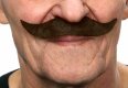 Gentlemen Moustache | Dark Brown