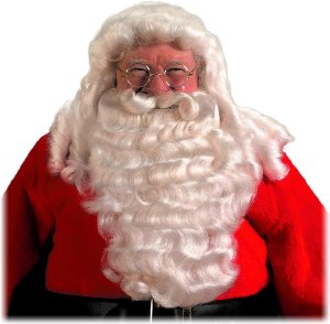 Ultra Deluxe Santa Wig and Beard