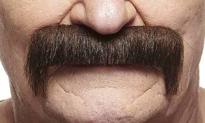 Small Horseshoe Moustache | Brown and Red
