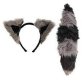 Raccoon Ears and Tail
