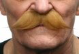 English Moustache | Light Brown