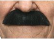 Painters Brush Moustache | Black