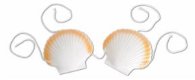 Shell Bikini Top