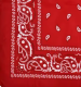Bandana | Red
