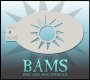 BAM3016
