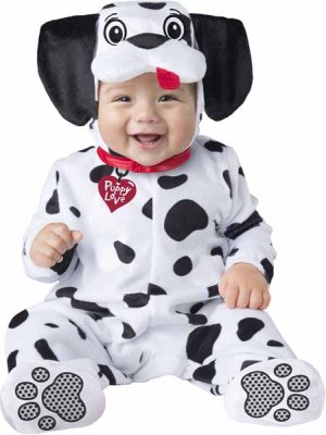 Dalmatian | Infant Medium