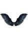 Raven Cosplay Wings