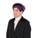 Colonial Man Purple Wig