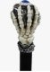 Eyeball Cane