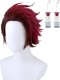 Demon Slayer Tanjiro Kamado | Wig Set
