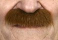 Auburn Bushy Moustache