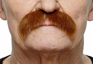 Full Moustache | Auburn