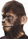 Monkey Ears