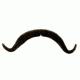 Colonel Moustache Black