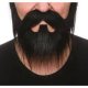 Beard and Moustache Set | Black
