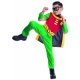 DC Teen Titan Robin Large