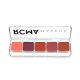 RCMA Series | Cheek Color #2