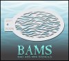 BAM2025