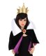 Disney Evil Queen Kit