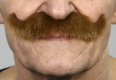 Imperial Moustache | Auburn