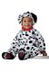 Adorable Dalmatian | 6-12 Month